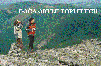 BEF DOĞA OKULU TOPLULUĞU